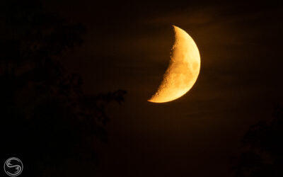 Herbstmond / Autumn Moon