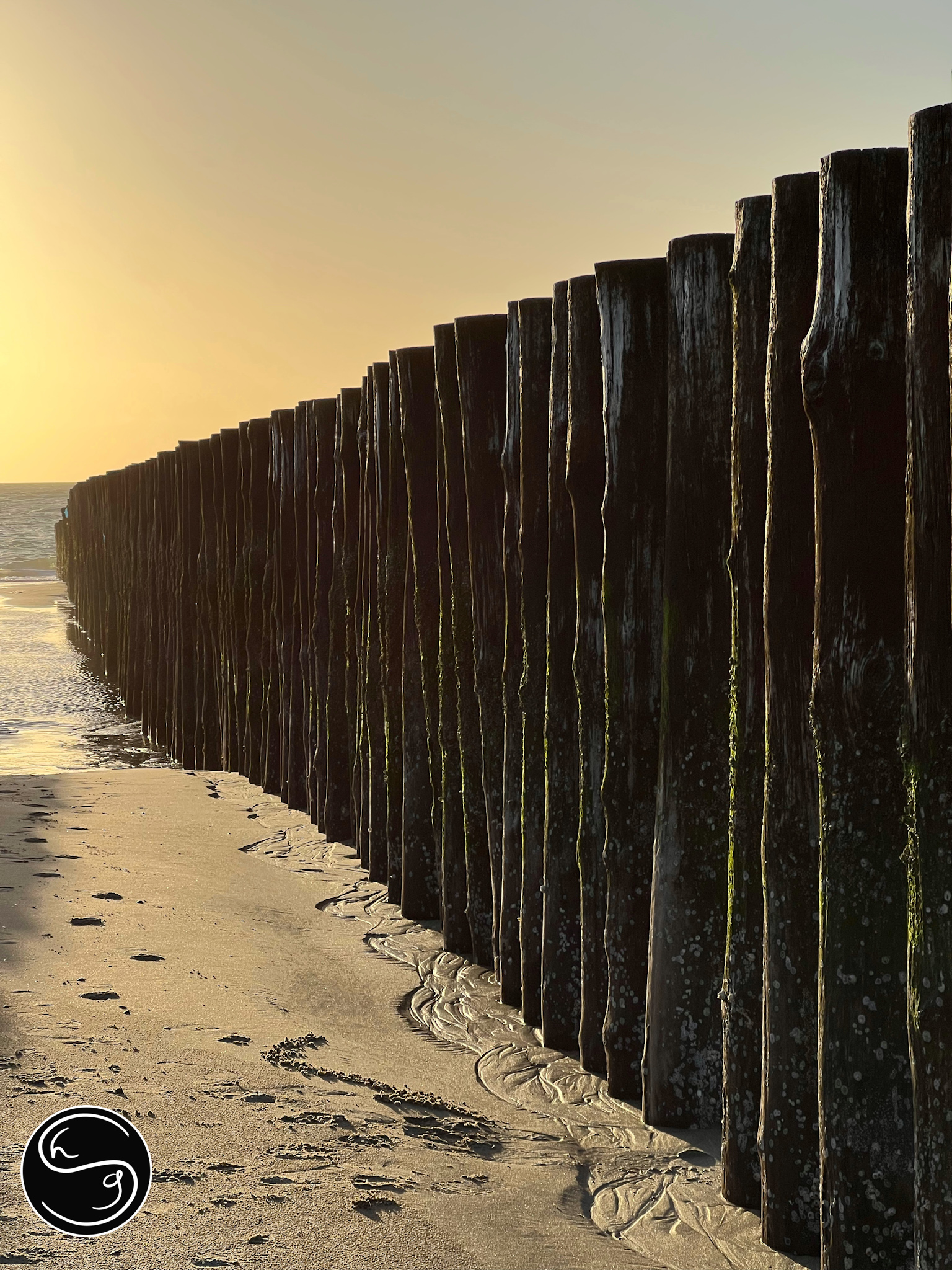 Goldener Novemberabend