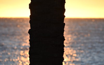 Weniger ist mehr / Less is more