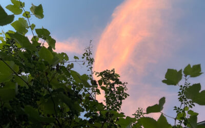 Wolke? Planet! / Cloud? Planet!
