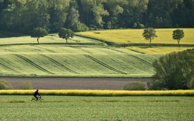 Durch die Felder Radeln / Cycling Through the Fields